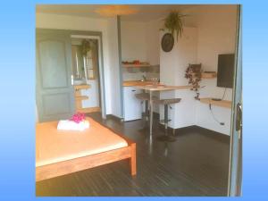 Cuisine ou kitchenette dans l'établissement NEW Joli Studio avec Vue mer imprenable - wifi