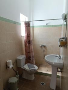 a bathroom with a toilet and a sink at GOLDEN BEACH in Souvala