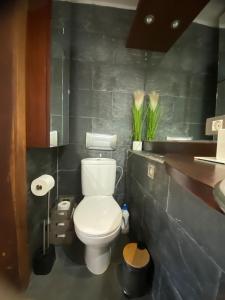 a bathroom with a white toilet and a sink at Apartamento caracol in Los Abrigos