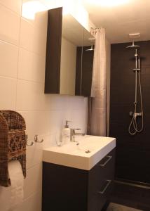 Un baño con lavabo, espejo y ducha. en Raadhuis Egmond, en Egmond aan den Hoef
