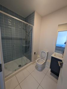 y baño con ducha, aseo y lavamanos. en Entire Penthouse 30 mins to city center via luas, en Dublín