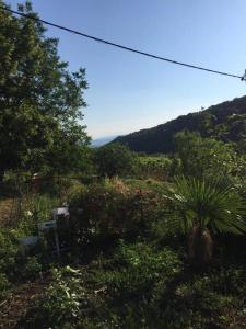 Foto dalla galleria di Studio Cotta, Salara farmhouse a Capodistria Altre 20 foto