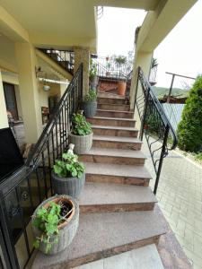 Pensiunea Mihaita في تورك أوكن: مجموعة من الدرج مع نباتات الفخار عليها