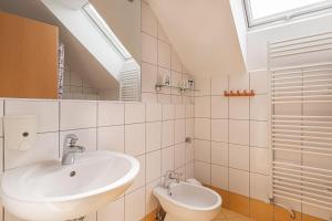 a bathroom with a sink and a toilet at Apartments Lavrič in Velike Bloke +37 photos