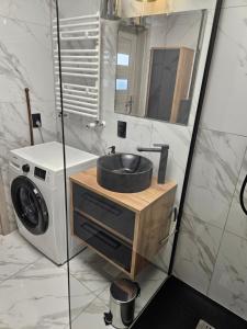 a bathroom with a sink and a washing machine at Apartament Malta in Poznań