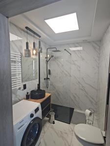 uma casa de banho com um chuveiro, um lavatório e um WC. em Apartament Malta em Poznań