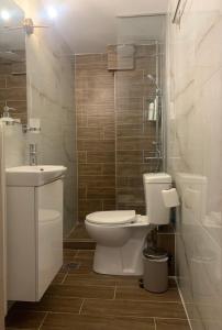 uma casa de banho com um WC, um lavatório e um chuveiro em Casa D'oro Α2 em Lárissa