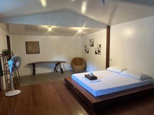 Schlafzimmer mit einem Bett, einem Schreibtisch und einem Ventilator in der Unterkunft Tribal Xperience Guesthouse in San Vicente
