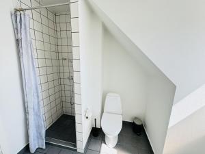 a bathroom with a toilet and a shower at aday - 1 bedroom balcony apartment on the pedestrian street in Randers in Randers +12 photos