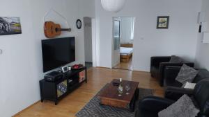 TV a/nebo společenská místnost v ubytování Apartmán Šurany