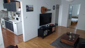 Apartmán Šurany في Šurany: غرفة معيشة مع تلفزيون بشاشة مسطحة ومطبخ