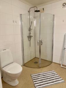uma casa de banho com um chuveiro, um WC e um tapete em Enjoy Entire Condo near Stavanger airport em Sola
