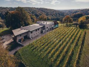 an aerial view of a building in a field of vines at Posestvo Gjerkeš in Rogašovci