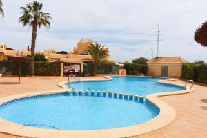 a large swimming pool in a yard with palm trees at Villa Sol Ciudad Quesada in Ciudad Quesada