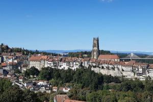 Blick auf eine Stadt mit einer Brücke und Gebäuden in der Unterkunft Studio à deux pas de la cathédrale in Freiburg im Üechtland