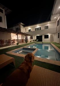 a dog sitting next to a swimming pool at night at Kasamigos Guesthouse with Fast Internet in Puerto Princesa City