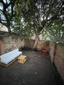 a white couch and a table and a tree at Comfortable 3 Bedroom House Pyrmont in Sydney