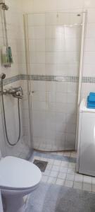 La salle de bains est pourvue d'une douche et de toilettes. dans l'établissement Eskolampi, à Helsinki