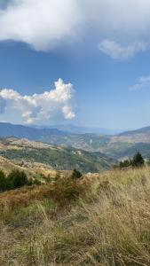 地拉那的住宿－VILA DISHA，享有山丘的背景景色