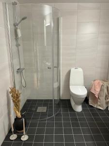 La salle de bains est pourvue d'une douche et de toilettes. dans l'établissement Modern and Chic Lindholmen Central Apartment, à Göteborg