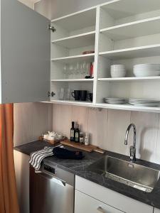 مطبخ أو مطبخ صغير في Modern and Chic Lindholmen Central Apartment