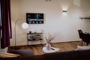 Televízia a/alebo spoločenská miestnosť v ubytovaní Taubergießen