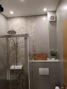 Koupelna v ubytování Guest House Klaudija + 37 fotografií
