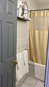 a bathroom with a shower curtain and a tub at 1 Bedroom Apartment, in Coconut Drive San Fernando in San Fernando