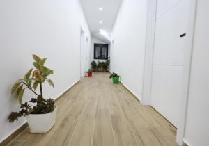 Φωτογραφία από το άλμπουμ του Guesthouse Aurel σε Berat