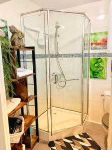 a shower with a glass enclosure in a bathroom at Appartement agreable et zen in Boulogne-sur-Mer