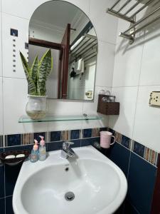 a bathroom sink with a mirror and a potted plant at Quynh Moon homestay in Hanoi
