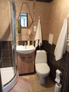 アウグストゥフにあるApartament Konopnickaのバスルーム(トイレ、洗面台、シャワー付)