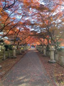 Afbeelding uit fotogalerij van GUESTHOUSE 黒mame庵 in Tamba