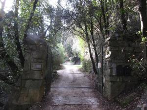 an old stone wall with trees on a dirt road at Ferienhaus in Garda mit Garten, Grill und Terrasse in Garda