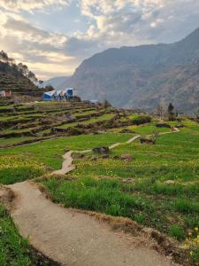un camino de tierra en un campo con montañas en el fondo en Himalayan Homestay Huddu Valley, en Chopta