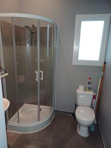 a bathroom with a shower and a toilet at Studio meublé tout confort climatisé in Bollène