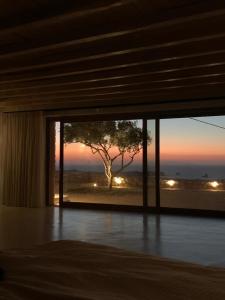 Zimmer mit einem Fenster und Blick auf einen Baum in der Unterkunft Mythic Paros , Adults Only in Agia Irini Paros