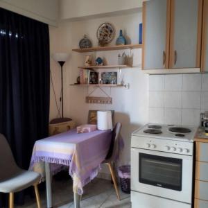 Kuchyň nebo kuchyňský kout v ubytování Small and cosy appartment- Piccolina