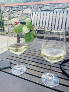 dos vasos de vino blanco sentados en una mesa en Acciuga en Monterosso al Mare
