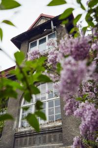 a building with white windows and purple flowers at 29 Avenue Apartments in Krakow