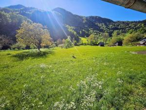 a field of green grass with a tree and mountains at Big Windows, Endless Views by Pintar Apartments in Bohinjska Bela