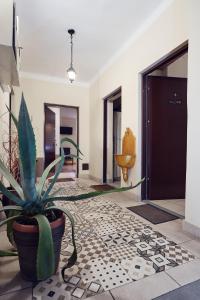 a potted plant on a tiled floor in a hallway at 29 Avenue Apartments in Krakow