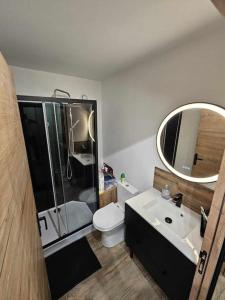 ein Badezimmer mit Toilette, Waschbecken und Spiegel in der Unterkunft Appartement vue mer et dunes in Dunkerque