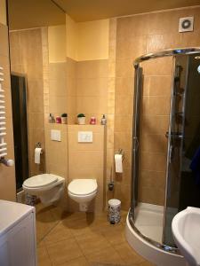 a bathroom with a toilet and a shower and a sink at Apartament Róża in Giżycko