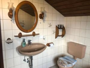La salle de bains est pourvue d'un lavabo, d'un miroir et de toilettes. dans l'établissement Hegau-Lounge-Bodensee, à Mühlhausen-Ehingen