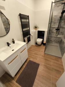 La salle de bains est pourvue d'un lavabo blanc et d'une douche. dans l'établissement B&B Royal Liberty, à Ústí nad Labem
