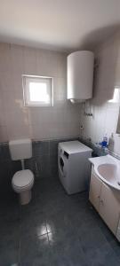 a bathroom with a toilet and a sink at Apartmani Stojan in Povljana +15 photos