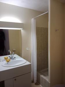 La salle de bains est pourvue d'un lavabo et d'une douche. dans l'établissement T1 chambre d'amour, à Anglet