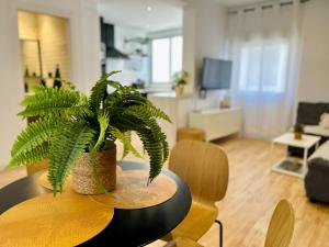 a plant sitting on a table in a living room at Ecochic Apartment in Fuengirola Center in Fuengirola