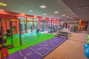 a gym with a lot of exercise equipment at Park Holiday Congress & Wellness Hotel in Prague